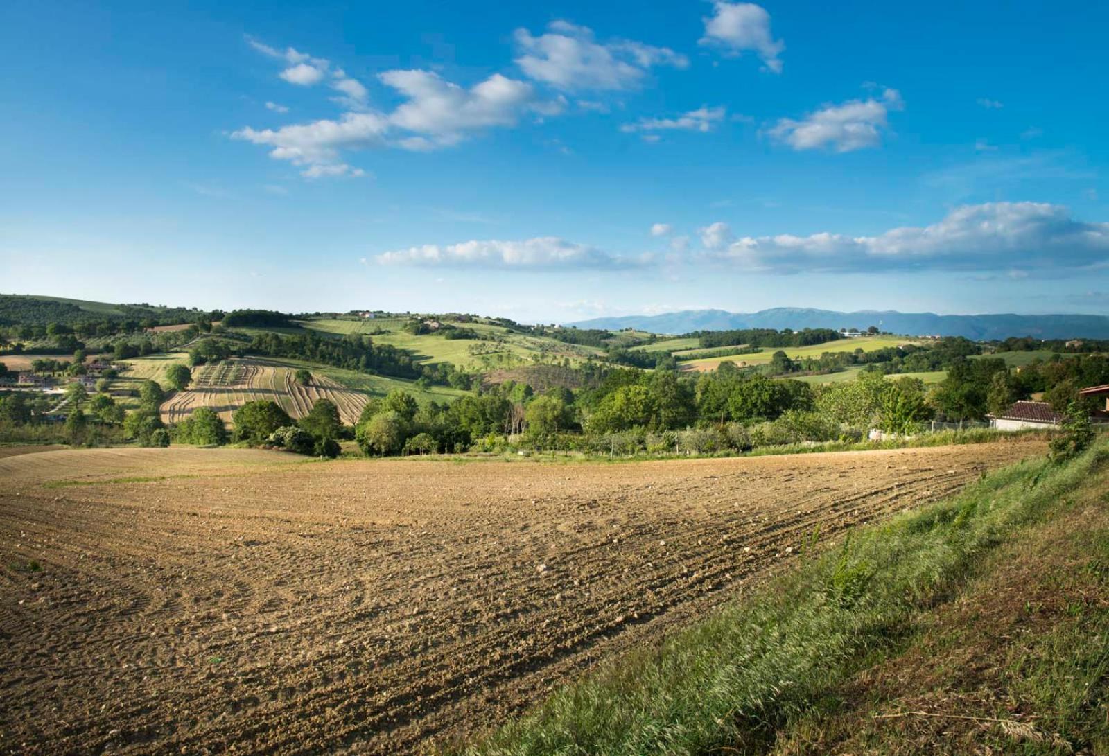 Agriturismo Piano Grande Avigliano Umbro Экстерьер фото