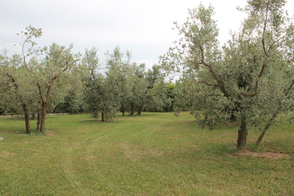 Agriturismo Piano Grande Avigliano Umbro Номер фото